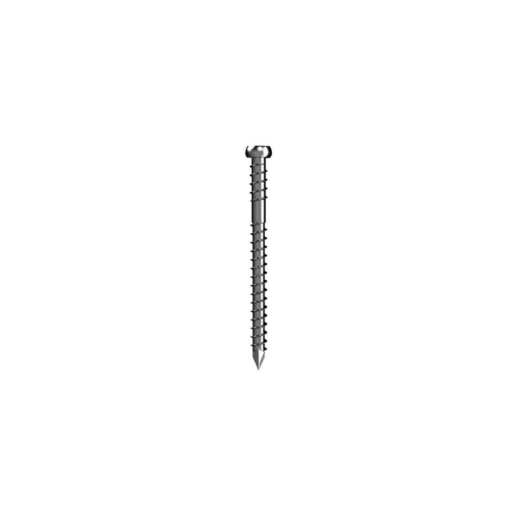 Bremick UltraFast STAINLESS STEEL Trim Head Decking Screws – Torx 20 Drive